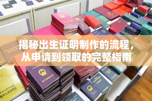 宁武揭秘出生证明制作的流程，从申请到领取的完整指南