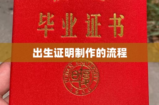 宁武出生证明制作的流程