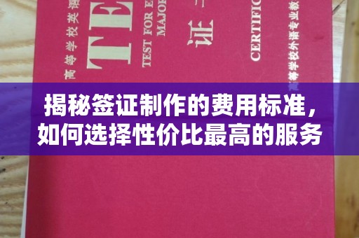 宁武揭秘签证制作的费用标准，如何选择性价比最高的服务？
