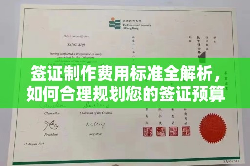 宁武签证制作费用标准全解析，如何合理规划您的签证预算？
